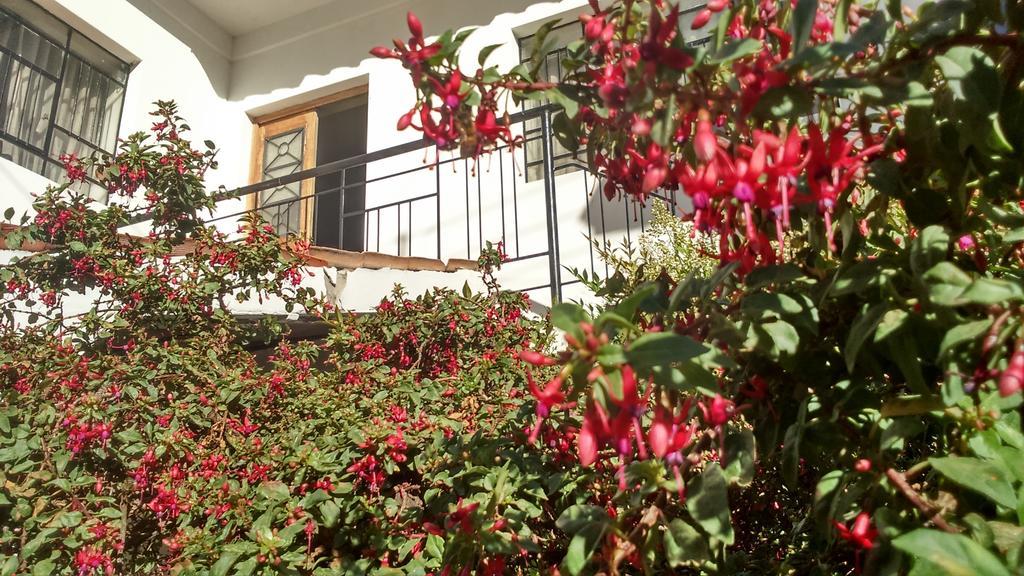 Posada Junco Y Capuli Huancayo Exterior photo